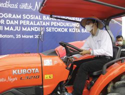 Dengan Teknologi Proliga Panen Cabai Bisa Hingga 20 Ton per Hektar