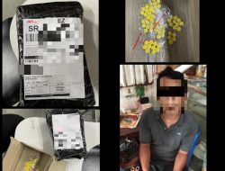 Kerjasama Dua Kantor Bea Cukai Gagalkan Penyelundupan Tembakau Gorila