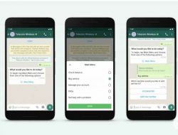 WhatsApp Business Perbarui Fitur Mengobrol