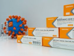 Singapura Kurang Percaya Vaksin Sinovac, Beda Perlakuan Untuk Pfizer dan Moderna