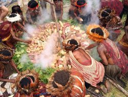 KSTP Serang Warga yang Gelar Tradisi Bakar Batu di Ilaga, TNI Langsung Lakukan Pengejaran