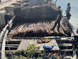 BC Batam Amankan Penyelundupan 10.810 Kayu Teki di Perairan Pulau Jaloh Atas