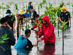 Presiden “Nyemplung” Saat Tanam Mangrove Bersama Masyarakat di Batam