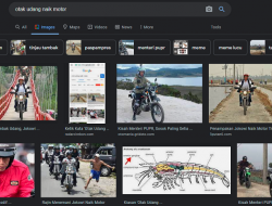 Jokowi Muncul di Google saat Ketik ‘Otak Udang Naik Motor’ Bukti Orang Istana Makan Gaji Buta