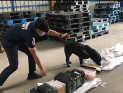 “Endusan” Anjing K-9 Bea Cukai Batam Lagi-Lagi Berhasil Temukan Sabu Dalam Buku Kamus