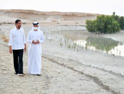 Saat Presiden Jokowi Tanam Mangrove di Abu Dhabi