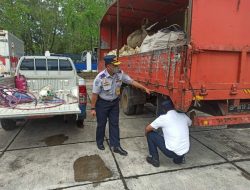 Pemko Batam Dukung Upaya Wujudkan Zero ODOL Hingga 2023