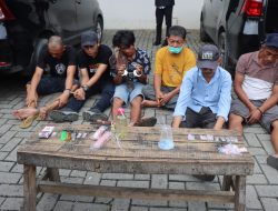 Gerak Cepat Sat Narkoba Polresta Deli Serdang, Gerebek Kampung Narkoba 16 Orang Berhasil Diamankan