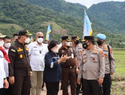 Kapolda Sumut Panen Raya Padi dan Tinjau Tanaman Bawang di Kab. Karo