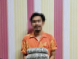 Dalam Sepekan Bea Cukai Batam Gagalkan Pengiriman Dua Paket Ganja