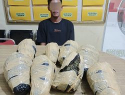 Sat Narkoba Polresta Deli Serdang Gagalkan Peredaran Ganja Antar Provinsi
