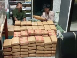 Mencoba Kabur, Ditresnarkoba Polda Sumut Tangkap 3 Pelaku Pembawa 135 Kg Ganja