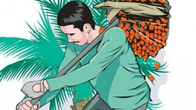 Ninja Sawit Kerap Beraksi di Pantai Labu, Warga Resah dan Meminta Polisi Berantas