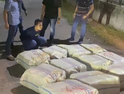 Polda Sumut Gagalkan 272 Kg Ganja Asal Aceh Masuk Kota Medan