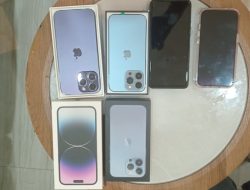 Bea Cukai Batam Bongkar Sindikat Joki IMEI Bermodus Jalan -Jalan Gratis, 42 HP iPhone Diamankan