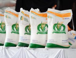 Dorong Laju Ekonomi, Mulai Juni Prabowo Bakal Gelontorkan Bantuan Pangan – Subsidi Upah