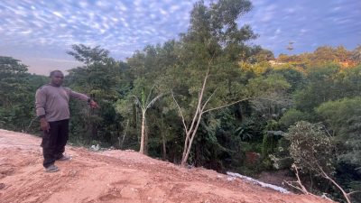 PT. BSS Buka Suara: Fakta di Balik Pembuangan Bawang di Batu Ampar