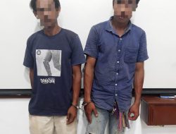 Respons Cepat Polres Simalungun, 2 Pelaku Pencurian TBS di PTPN-4 Bah Jambi Diamankan