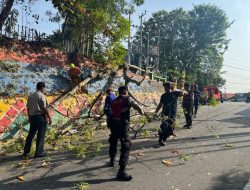 Sat Samapta Polres Karimun Gerak Cepat Tangani Pohon Tumbang Timpa Mobil
