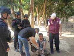 Satbrimob Polda Sumut Perkuat Operasi Ditresnarkoba, Tegaskan Komitmen Berantas Narkoba