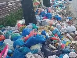 Puluhan Miliar Digelontorkan, Ke Mana Larinya Efektivitas DLH Batam?