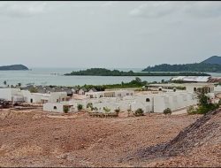 Penimbunan Mangrove dan Dugaan Pelanggaran Izin dalam Proyek Resort PT Megah Puri Lestari di Batam