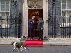 Presiden Prabowo Disambut PM Inggris di Downing Street, Kehadiran Larry the Cat Curi Perhatian