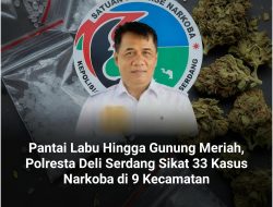 Pantai Labu Hingga Gunung Meriah, Polresta Deli Serdang Sikat 33 Kasus Narkoba di 9 Kecamatan