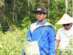 PT. Timah Optimalkan Potensi Pertanian Lokal, Guna Mewujudkan Ketahanan Pangan